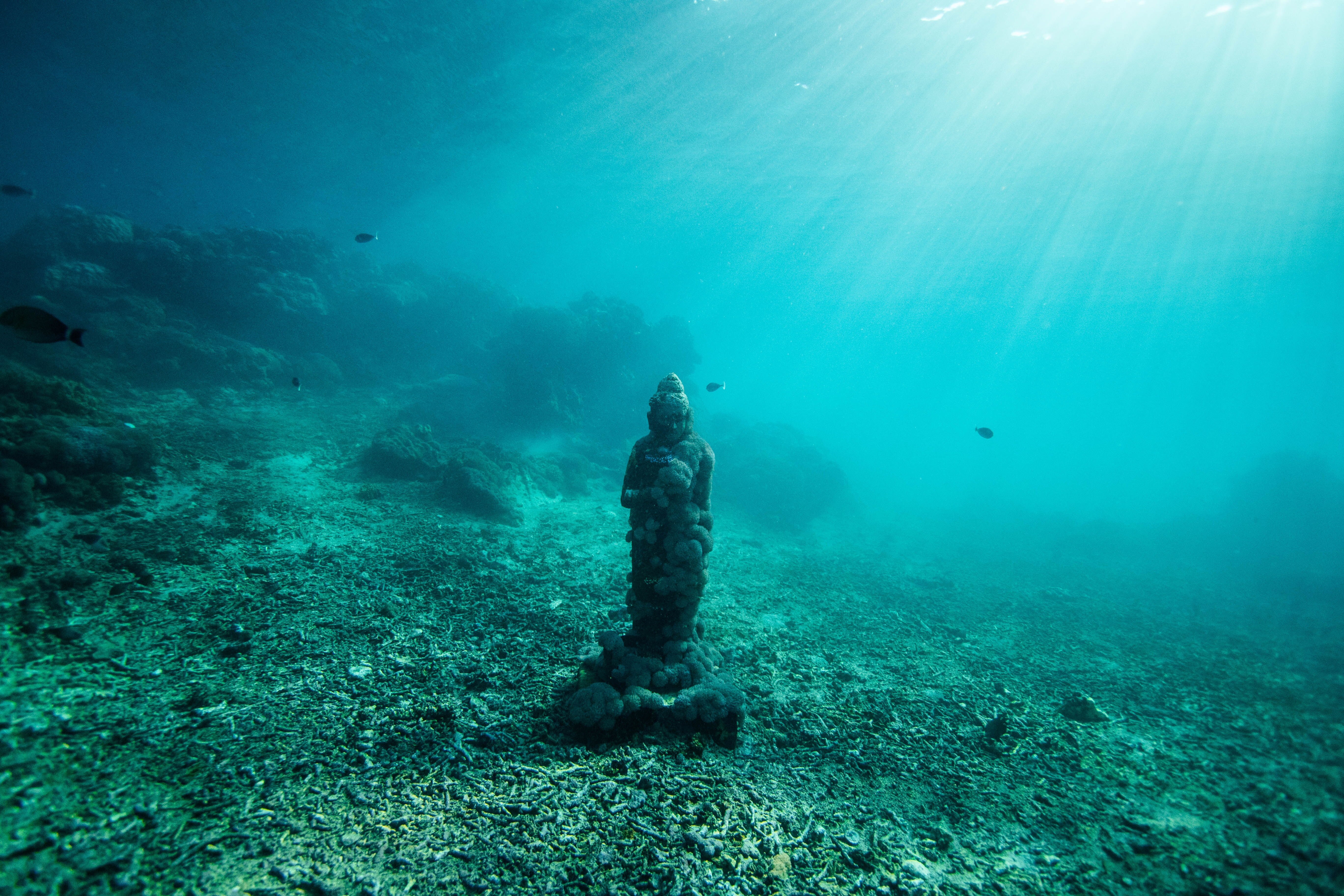 Dive Container Image Container Deep Diving: Part 1